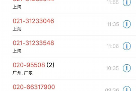 屏南债务清欠服务